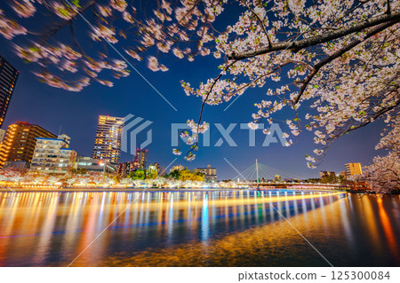 Lighted cherry blossoms 125300084