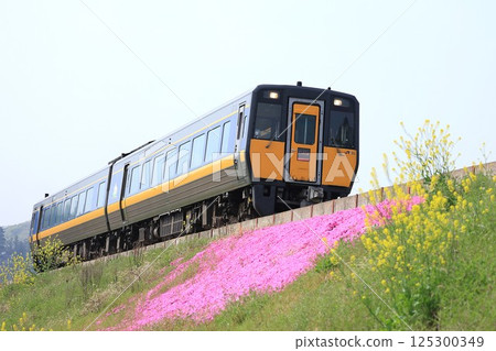 [JR West] Spring Kiha 187 Series 500 Limited Express "Super Inaba" (Chizu Line: Sayo - Hirafuku) 125300349