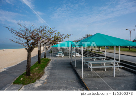 A cottage on the beach with a sea view 125300378