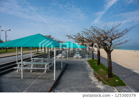 A cottage on the beach with a sea view 125300379