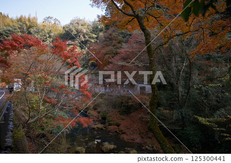 Ryoma Park in Shiozumi Onsen surrounded by autumn leaves Ryoma Park in Shiozumi Onsen surrounded by autumn leaves 125300441