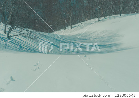 ski slope, slope, skiing 125300545