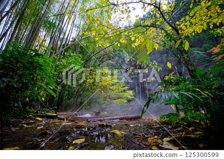 A riverside outdoor hot spring with a forest view A riverside outdoor hot spring with a forest view 125300599
