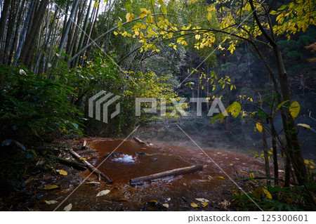 秋季竹林浴風景 秋季竹林浴風景 125300601