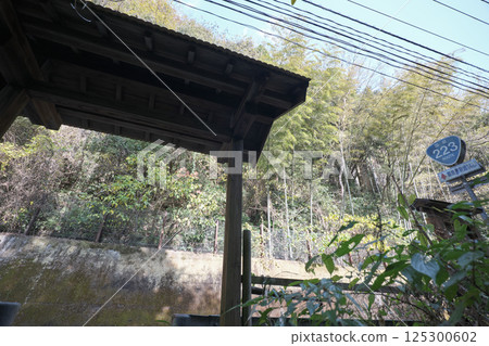 Bamboo Forest Hot Springs on National Route 223 Bamboo Forest Hot Springs on National Route 223 125300602