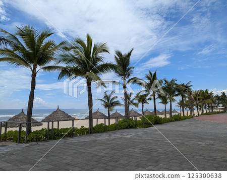 Palm tree-lined view of Non Nuoc Beach in Da Nang, Vietnam 125300638