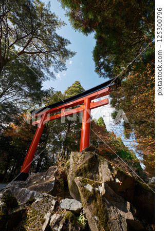 霧島神社鳥居的清涼景色 125300796
