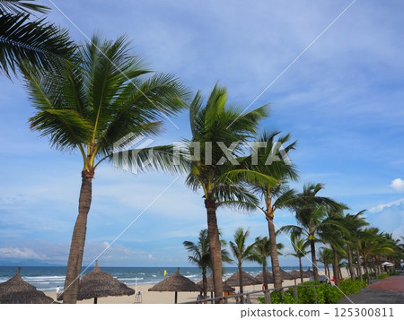 Scenery of a resort hotel in Da Nang, Vietnam 125300811