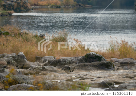 Quiet river scenery Quiet river scenery 125301113