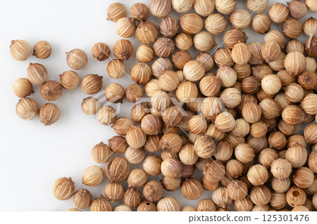 Close-up of whole coriander seeds 125301476