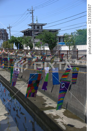 Carp streamers on the Tonogawa River Carp streamers on the Tonogawa River 125301887