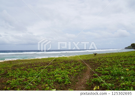塞班島坦克海灘 塞班島坦克海灘 125302695
