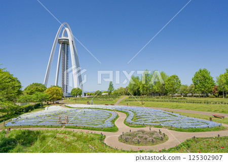 138 Tower Park and Nemofira Fields 138 Tower Park and Nemofira Fields 125302907