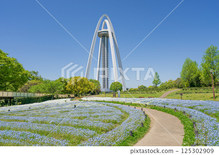 138 Tower Park and Nemofira Fields 138 Tower Park and Nemofira Fields 125302909