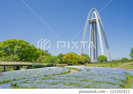 138 Tower Park and Nemofira Fields 125302911