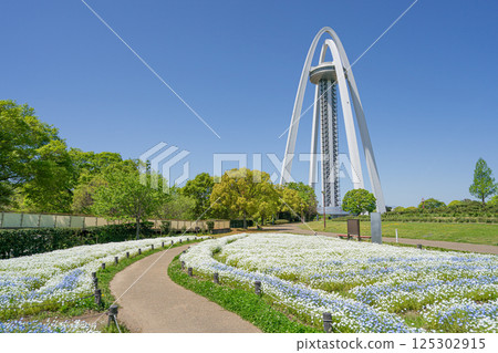 138 塔公園和 Nemofira 田野 138 塔公園和 Nemofira 田野 125302915