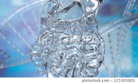 The Stomach for health or medical concept 3d Rendering. The Stomach for health or medical concept 3d Rendering. 125303003