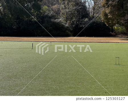 Croquet Court 125303127