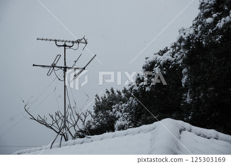 私人住宅屋頂積雪 私人住宅屋頂積雪 125303169