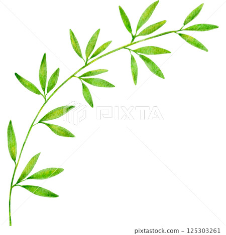 七夕竹葉插圖框架 125303261