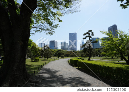 Hamarikyu Garden 125303308