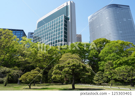 濱離宮花園 125303401