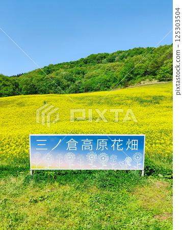 Nanohakura Takahara Nanohana農田 Nanohakura Takahara Nanohana農田 125303504