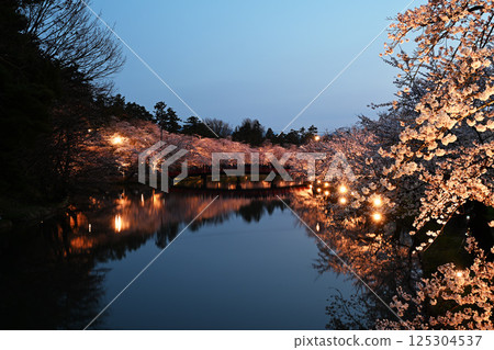 弘前公園的櫻花 弘前公園的櫻花 125304537