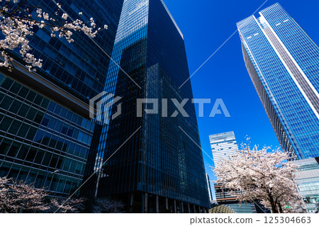 Cityscape with cherry blossoms blooming around Yaesu Exit, Tokyo 2025.04 b-2 High saturation contrast 125304663