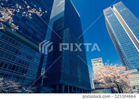 Cityscape with cherry blossoms in bloom around Yaesu Exit, Tokyo 2025.04 b-3 Emphasis on warm and cool colors 125304664