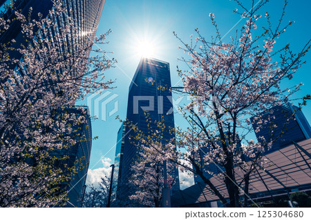 Cityscape with cherry blossoms blooming around Yaesu Exit, Tokyo 2025.04 e-4 Light color 125304680