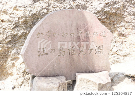 Enoshima Chigogafuchi Stone Slab Enoshima Chigogafuchi Stone Slab 125304857