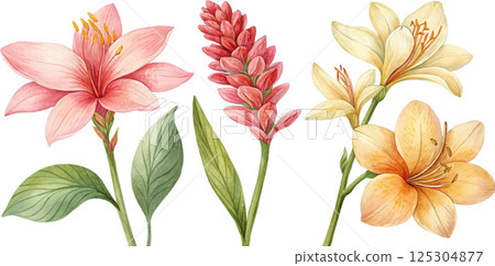 Watercolor Tropical Flowers Watercolor Tropical Flowers 125304877