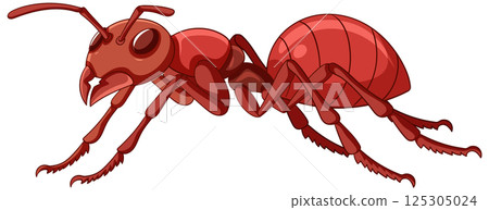 Red Ant Vector Illustration 125305024
