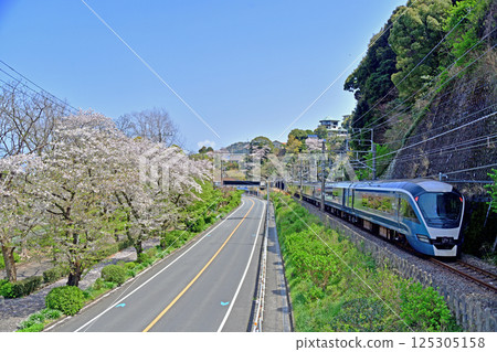 伊東線 網代-伊豆-多賀 JR東日本 E261系列 RS2 列車(大宮) Saphir Odoriko 伊東線 網代-伊豆-多賀 JR東日本 E261系列 RS2 列車(大宮) Saphir Odoriko 125305158