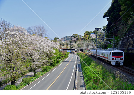 伊東線 網代-伊豆-多賀 JR東日本 雲屋 E491系列（勝田） Easti-E 125305159