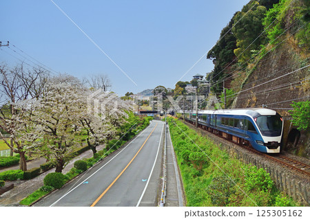 Ito Line Ajiro-Izu-Taga JR East E261 Series RS1 Formation (Omiya) Saphir Odoriko Ito Line Ajiro-Izu-Taga JR East E261 Series RS1 Formation (Omiya) Saphir Odoriko 125305162