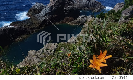 Mountain lilies and Senryo Pond 125305441