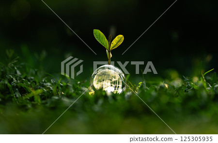 Earth Day concept of nature and protecting the world and preserving nature and the environment sustainably. Earth Day concept of nature and protecting the world and preserving nature and the environment sustainably. 125305935