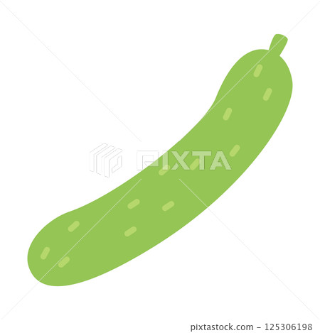 Soft color vegetable illustration: Cucumber 125306198