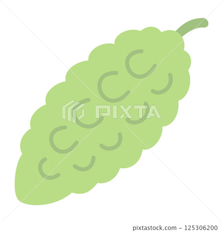 Soft colored vegetable illustration: bitter melon 125306200