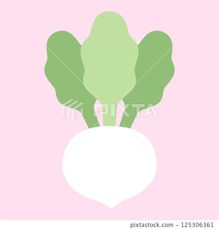 Soft colored vegetable illustration: Turnip 125306361