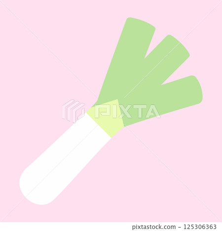 Soft colored vegetable illustration: Green onion Soft colored vegetable illustration: Green onion 125306363