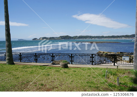 從逗子市小坪飯島公園看到的若江島 125306676