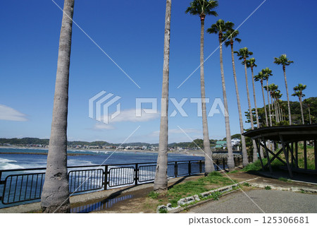 從逗子市小坪飯島公園看到的若江島 125306681