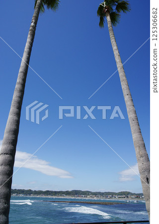 從逗子市小坪飯島公園看到的若江島 從逗子市小坪飯島公園看到的若江島 125306682