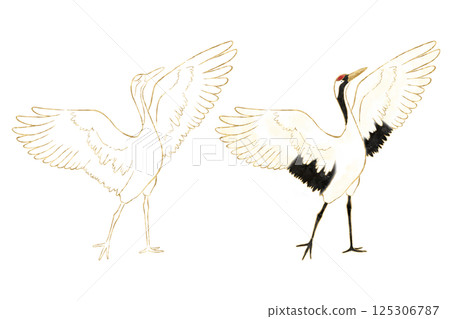 Crane 125306787