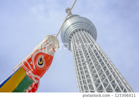 [Tokyo] Skytree and carp streamers 125306811