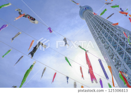 [Tokyo] Skytree and carp streamers 125306813