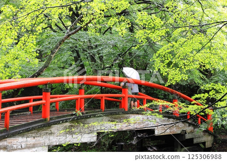 雨中的伊香保溫泉－湯本梶鹿橋 125306988
